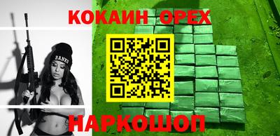 шишки Дубна