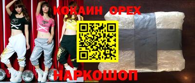 шишки Дубна