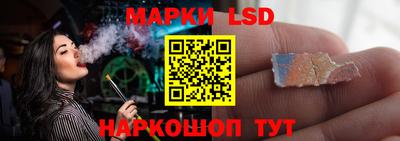 шишки Дубна