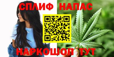 шишки Дубна