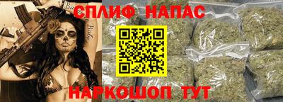 шишки Дубна