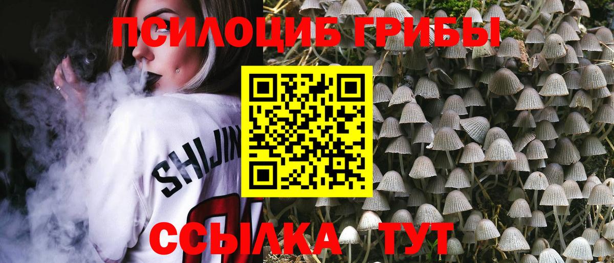 Мурино  Псилоцибиновые грибы Magic Shrooms  Вход с VPN 